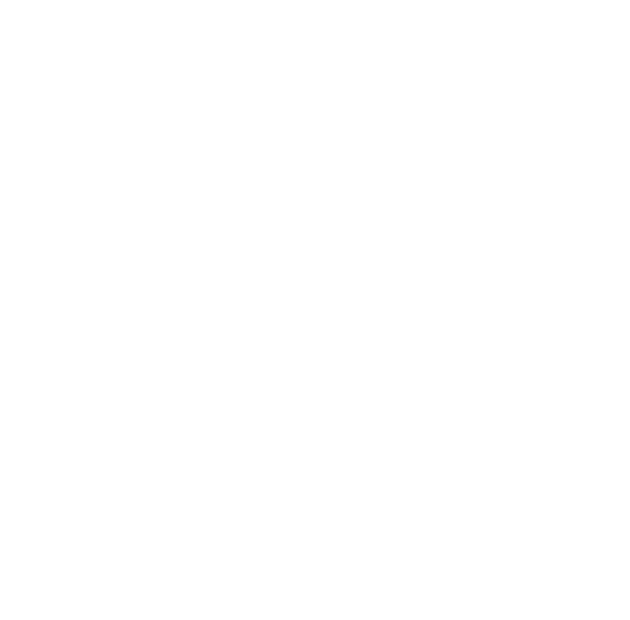 RRprojects_Logo_white_v1